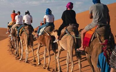 Family tour in Morocco / 9-Day Trip from Casablanca