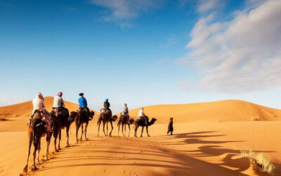 7 Days Morocco Desert Tour from Rabat