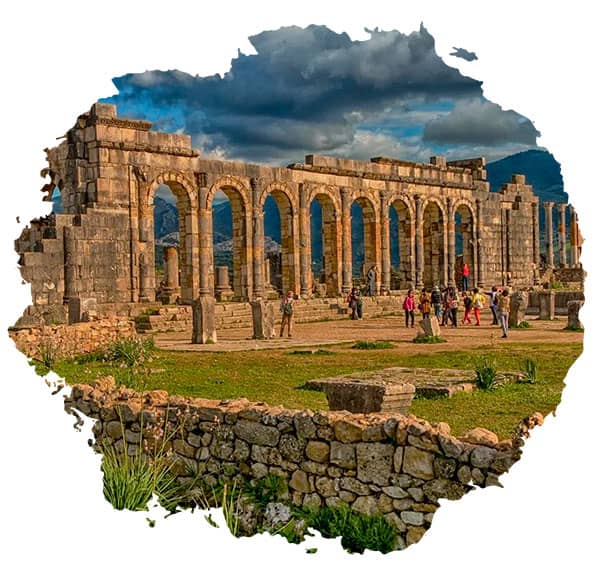 volubilis-Meknes Chouara Tannery in Fes